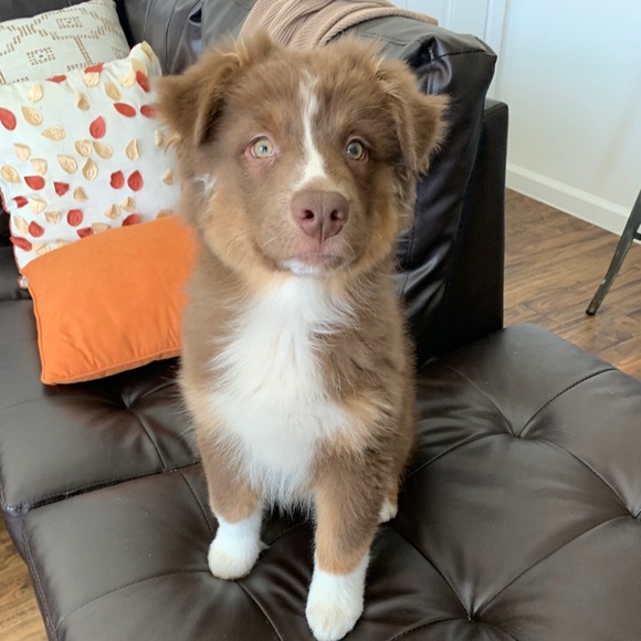 Meet your Posher, Marissa - Picture 4 of 5